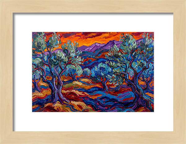 Olive Grove At Dusk