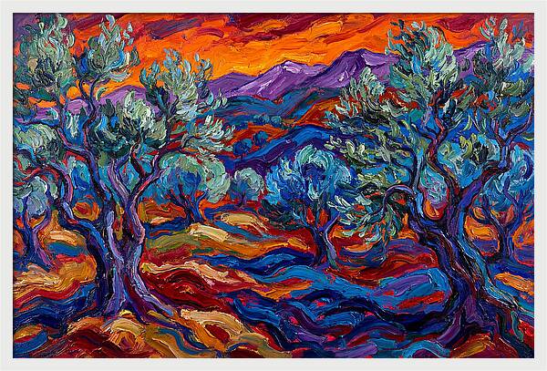 Olive Grove At Dusk