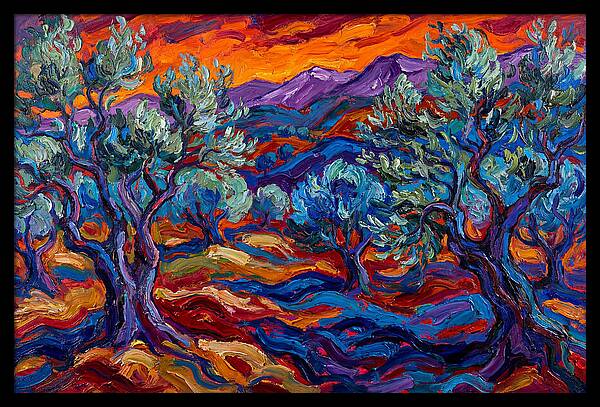 Olive Grove At Dusk