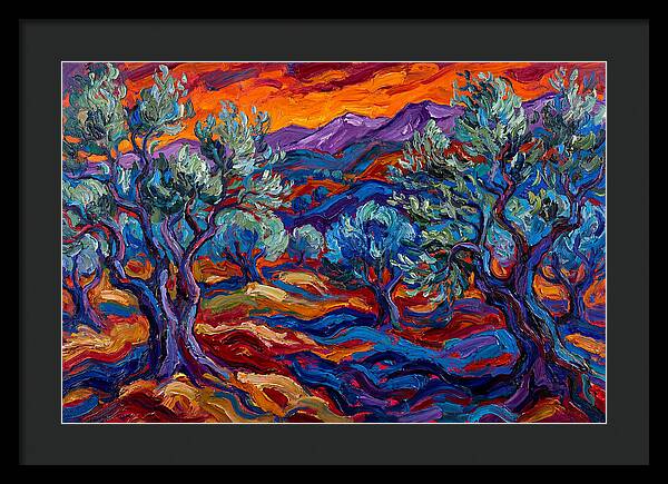 Olive Grove At Dusk