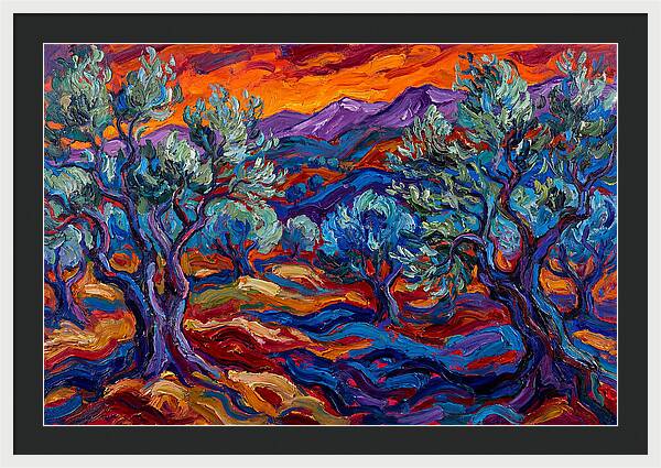 Olive Grove At Dusk