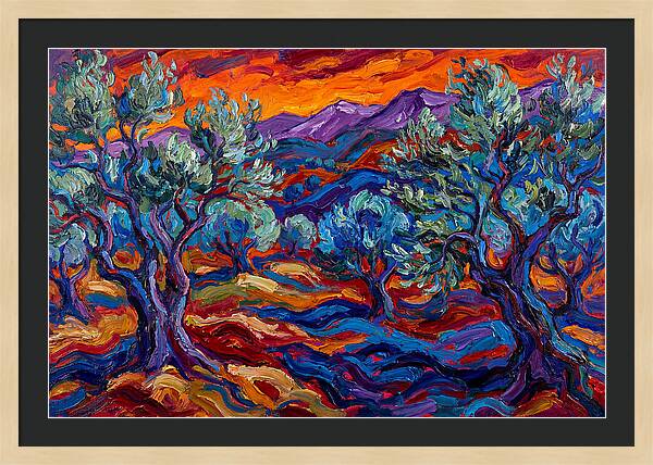 Olive Grove At Dusk