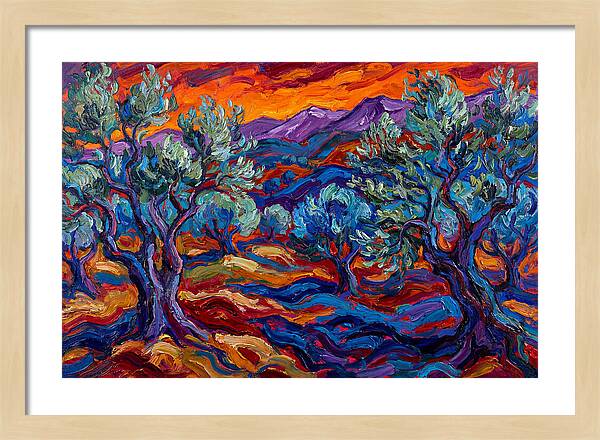 Olive Grove At Dusk