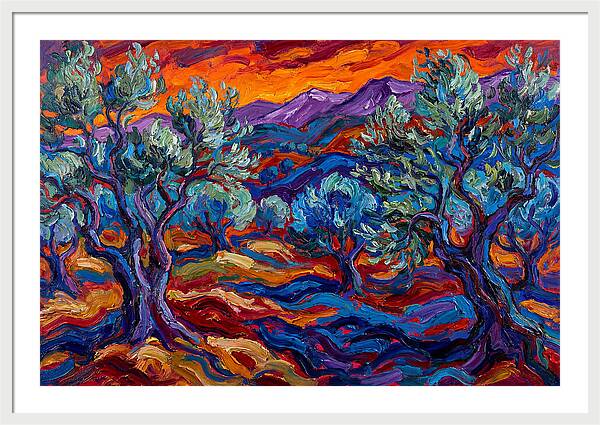 Olive Grove At Dusk