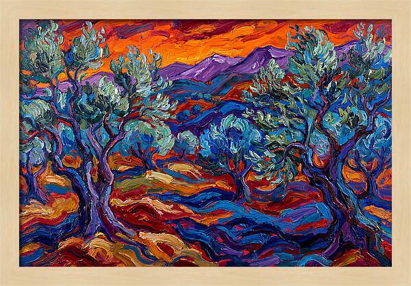 Olive Grove At Dusk