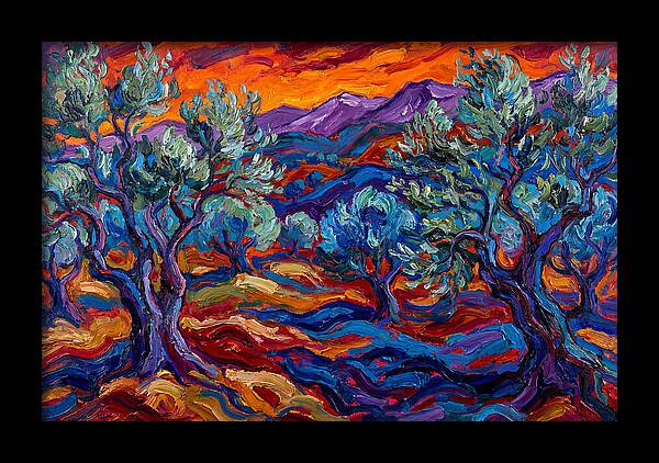 Olive Grove At Dusk