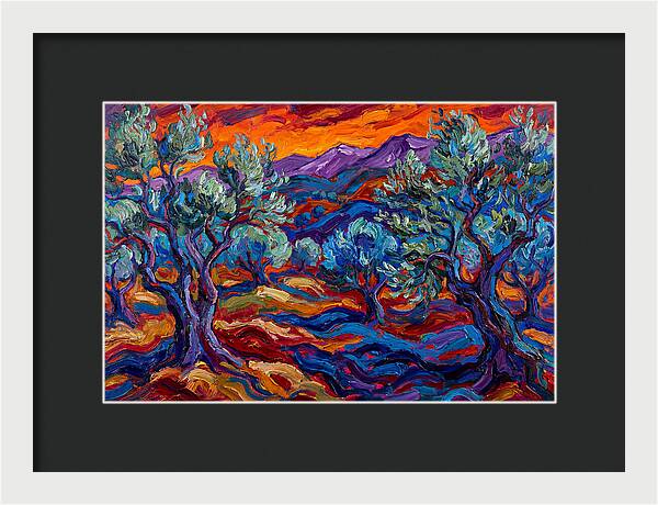 Olive Grove At Dusk