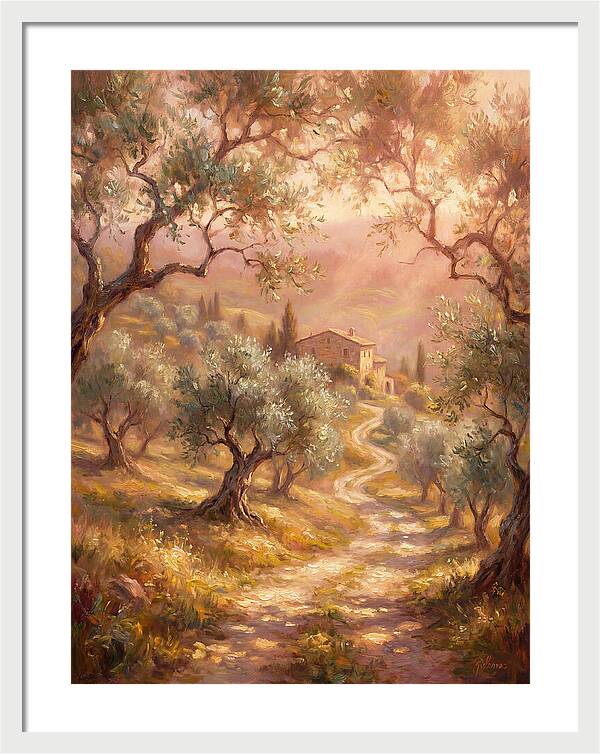 Olive Oil Landscape