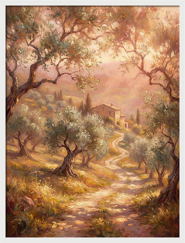 Olive Oil Landscape