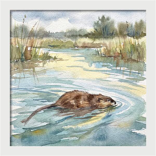 On The Waters Edge