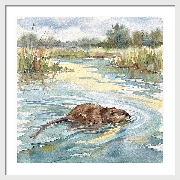 On The Waters Edge
