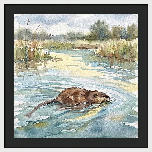 On The Waters Edge