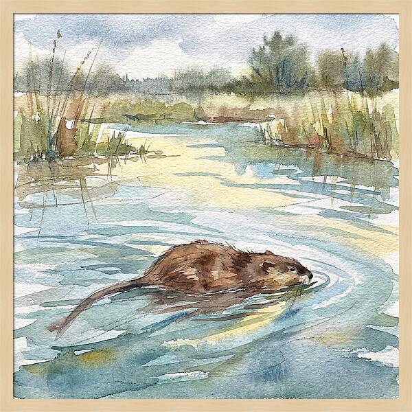 On The Waters Edge