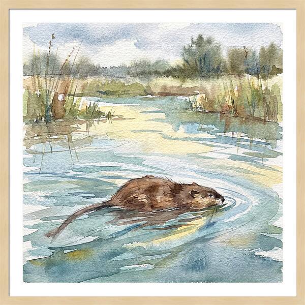 On The Waters Edge