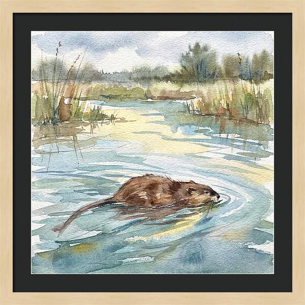 On The Waters Edge