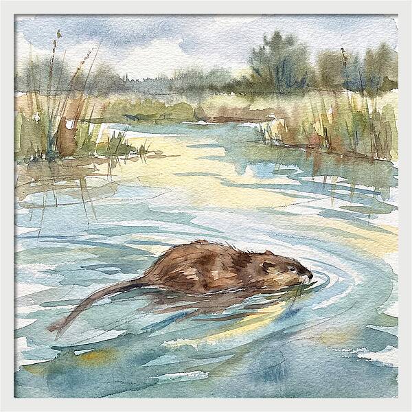 On The Waters Edge