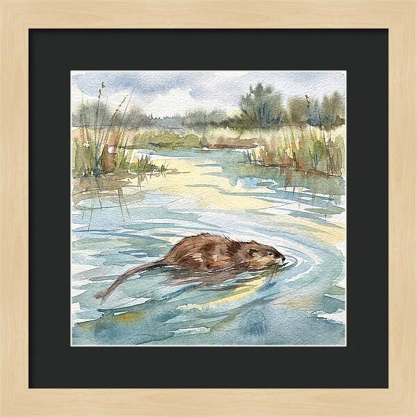 On The Waters Edge