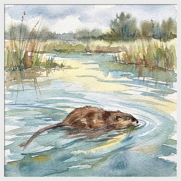 On The Waters Edge