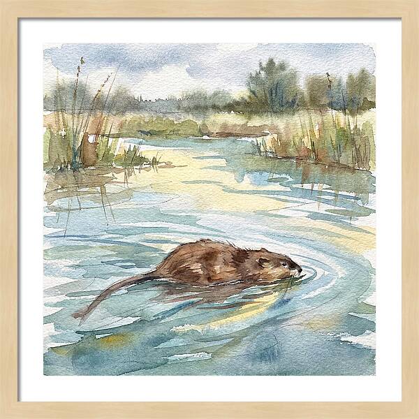 On The Waters Edge