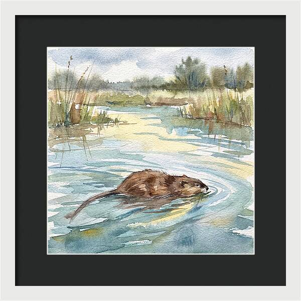 On The Waters Edge