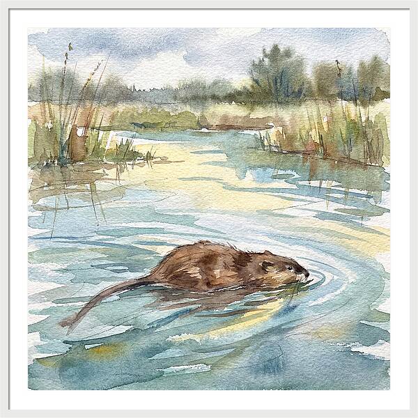 On The Waters Edge