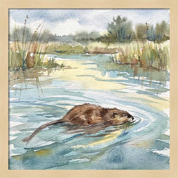 On The Waters Edge