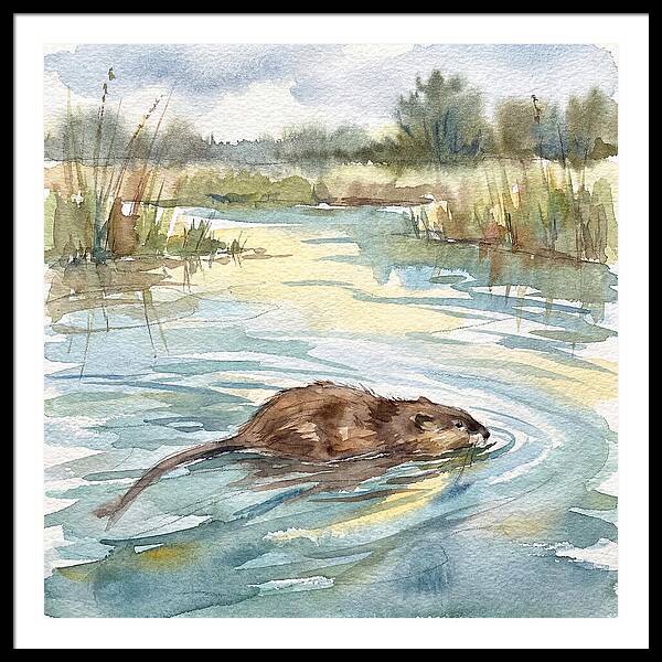 On The Waters Edge