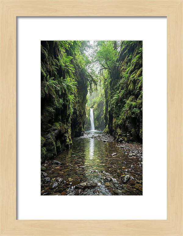 Oneonta Gorge Serenity