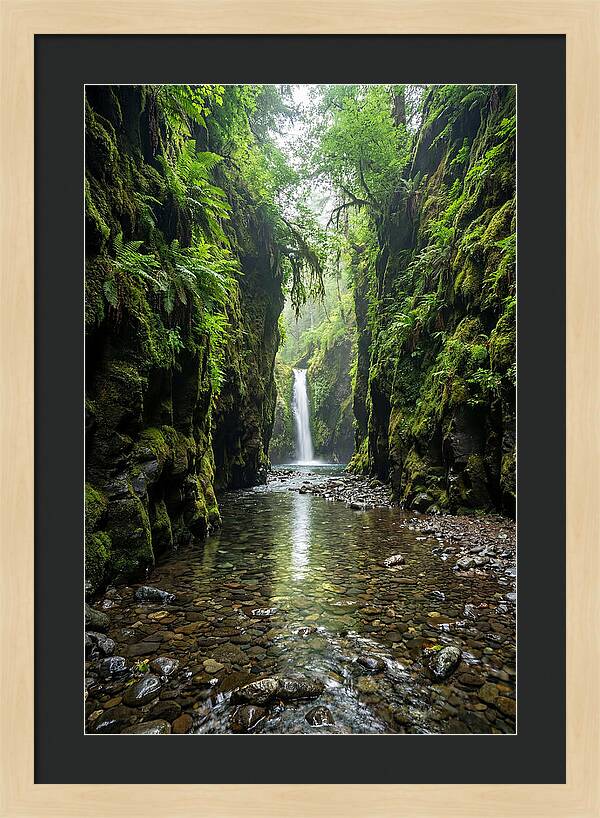 Oneonta Gorge Serenity