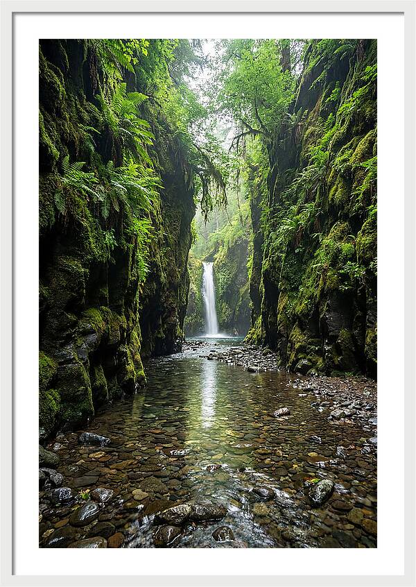 Oneonta Gorge Serenity