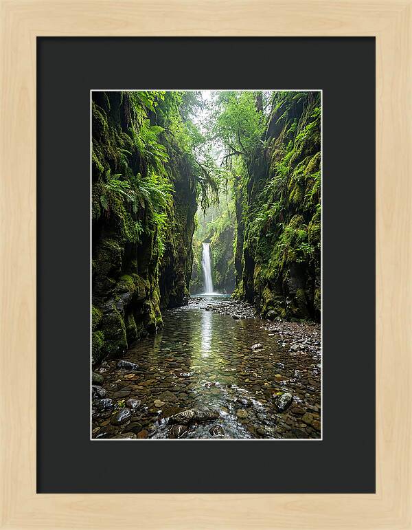 Oneonta Gorge Serenity