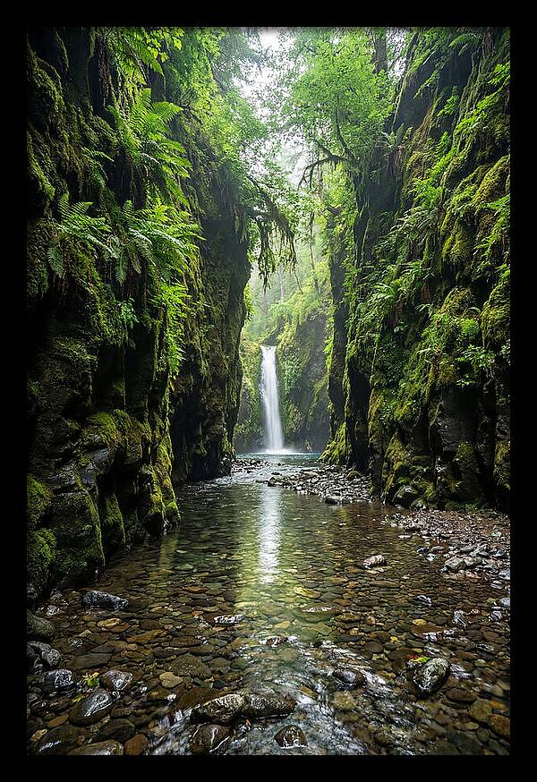 Oneonta Gorge Serenity