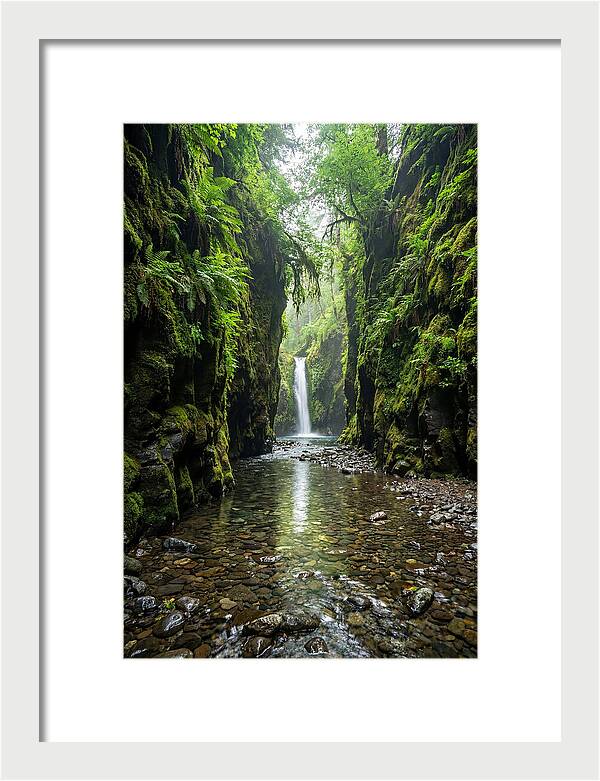 Oneonta Gorge Serenity