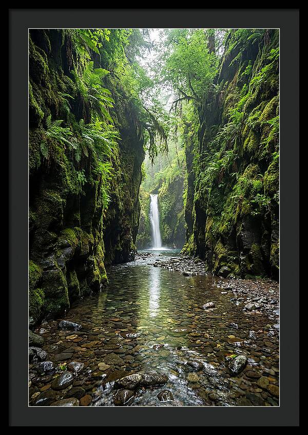 Oneonta Gorge Serenity
