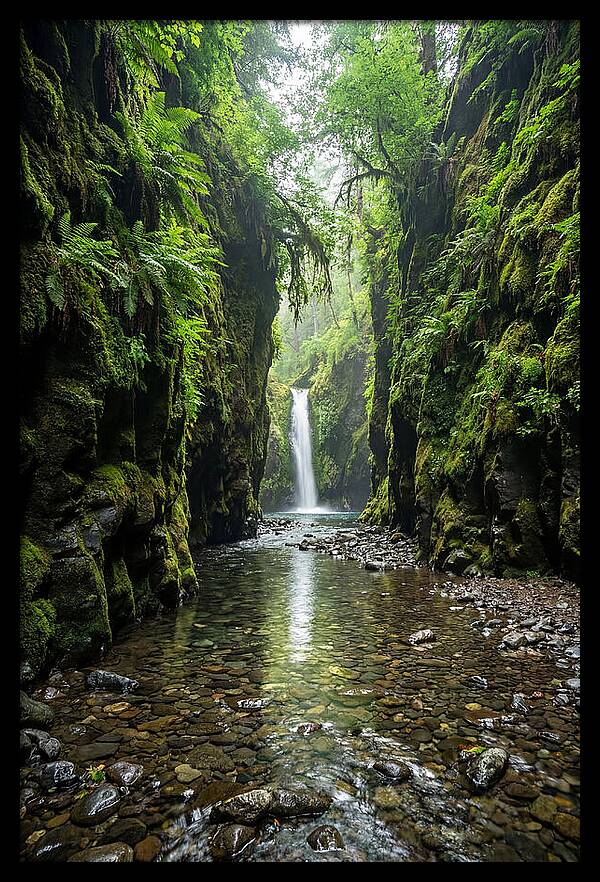 Oneonta Gorge Serenity