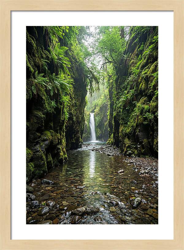 Oneonta Gorge Serenity