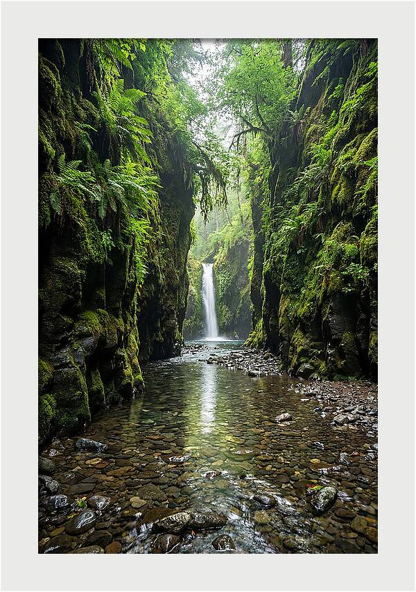 Oneonta Gorge Serenity