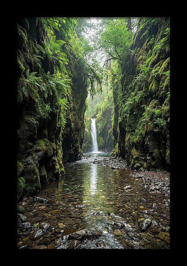 Oneonta Gorge Serenity