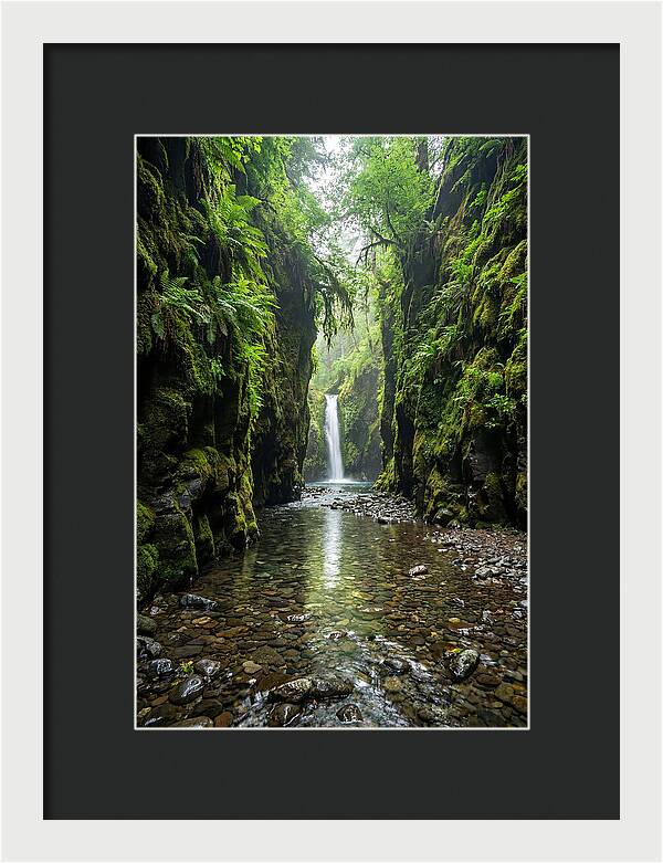 Oneonta Gorge Serenity