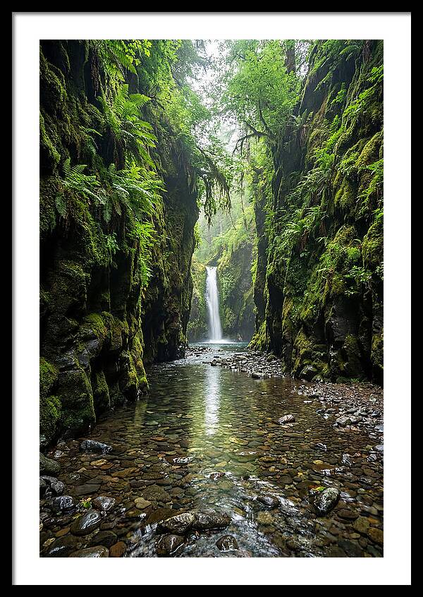 Oneonta Gorge Serenity