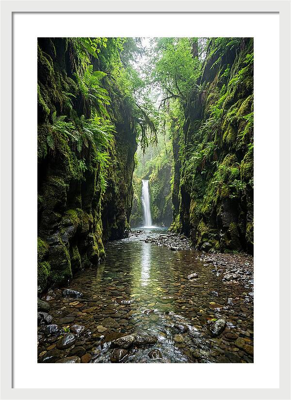 Oneonta Gorge Serenity