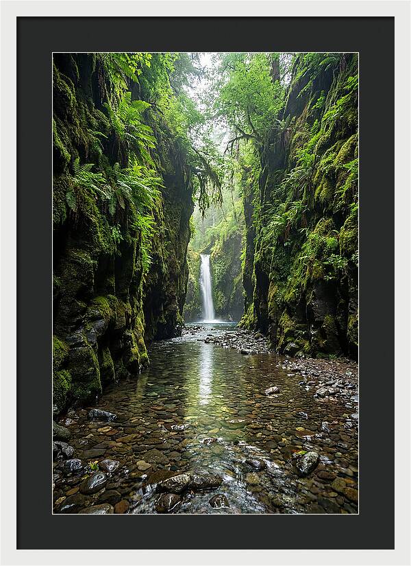 Oneonta Gorge Serenity