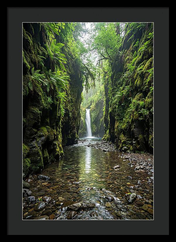 Oneonta Gorge Serenity