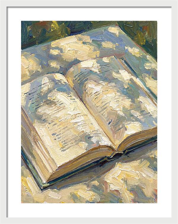 Open Book Under Sunlight