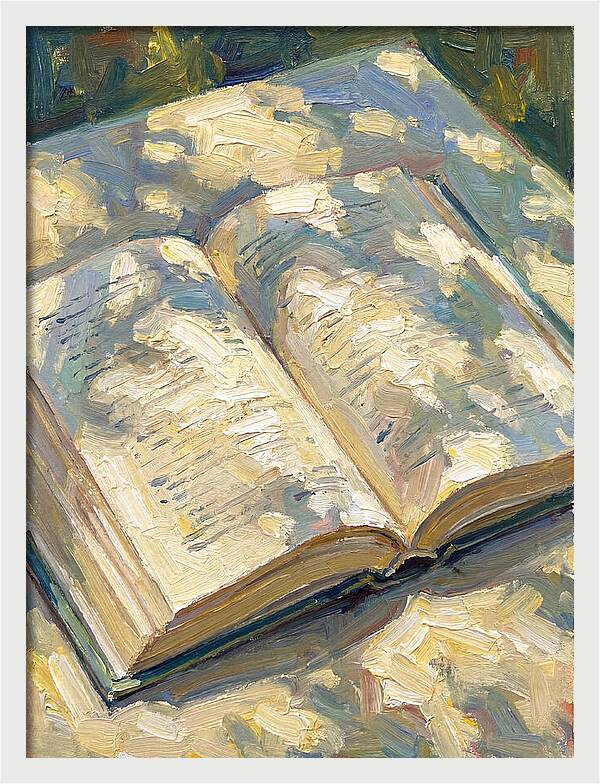 Open Book Under Sunlight