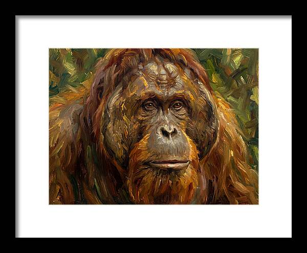 Orangutan Portrait In Nature