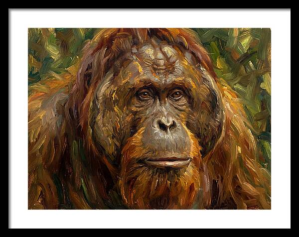 Orangutan Portrait In Nature