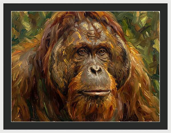 Orangutan Portrait In Nature