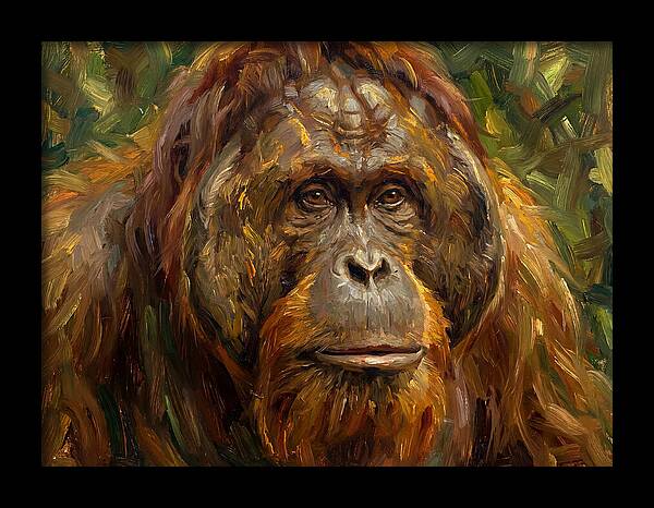 Orangutan Portrait In Nature