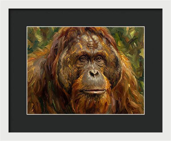 Orangutan Portrait In Nature